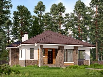 Одноэтажный дом с просторной гостиной и тремя спальнями